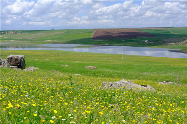 土壤水分測定儀 土壤水分測定儀