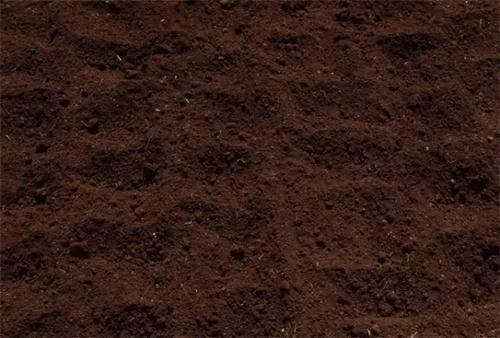 土壤水分測(cè)定儀