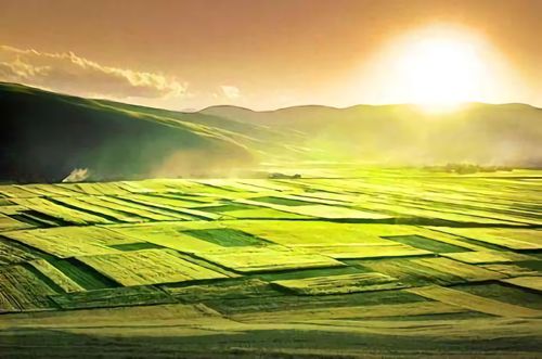 土壤墑情監(jiān)測系統(tǒng)